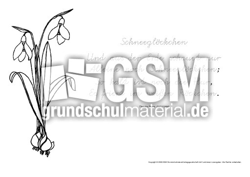 Nachspuren-Schmuckblatt-Schneeglöckchen-Storm.pdf